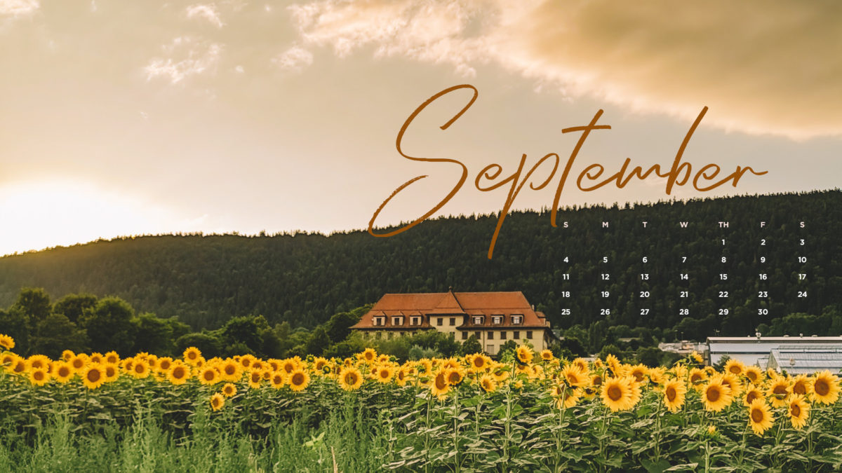 September 2022 Wallpapers Hatch Creatives september-2022-wallpapers-hatch-creatives